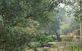 Chalet dans la Foret....Adorable 1 bedroom chalet surrounded by woodland